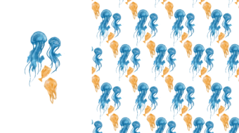 pattern